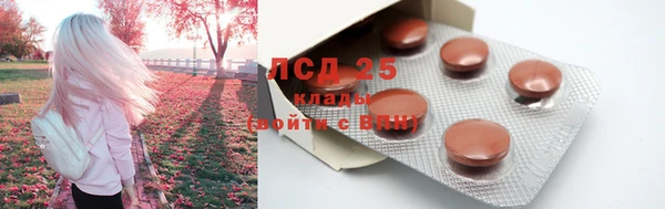 индика Белоозёрский