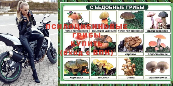 индика Белоозёрский