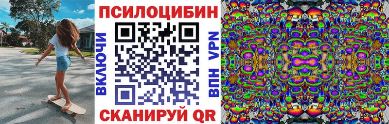 Псилоцибиновые грибы Magic Shrooms  Купить закладки  Нюрба 